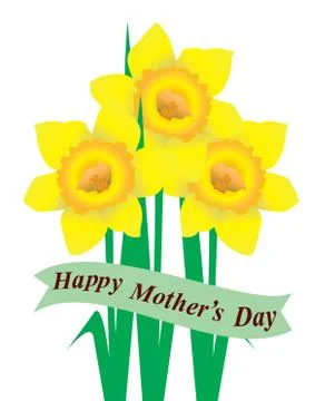 Daffodils Stock Illustration