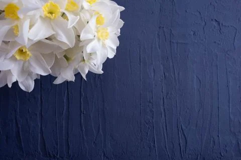 Daffodils lie on a table on a blue background Stock Photos