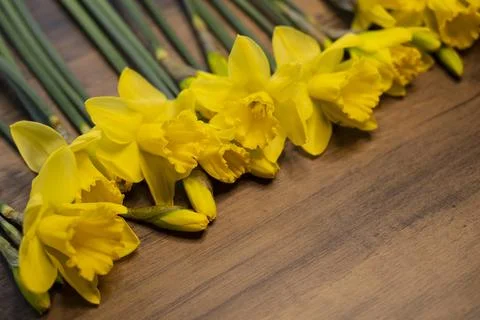 Daffodils narcissus Easter composition laying on a wooden board table, close up Stock Photos
