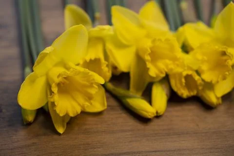 Daffodils narcissus Easter composition laying on a wooden board table, close up Stock Photos
