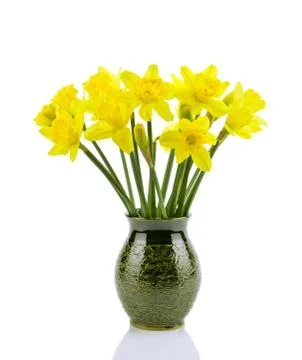 Daffodils Stock Photos