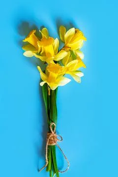 Daffodils Stock Photos