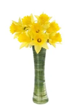 Daffodils in a vase Stock Photos