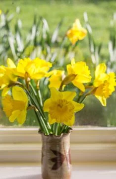 Daffodils  in a vase on a window sill. Stock Photos