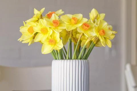 Daffodils in a white vase in the springtime Foto stock