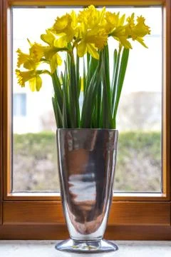 Daffodils on a window sill Stock Photos