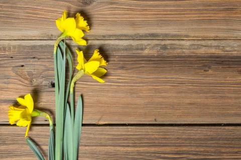 Daffodils on a wooden table Stock Photos