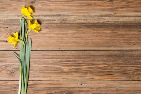 Daffodils on a wooden table Stock Photos