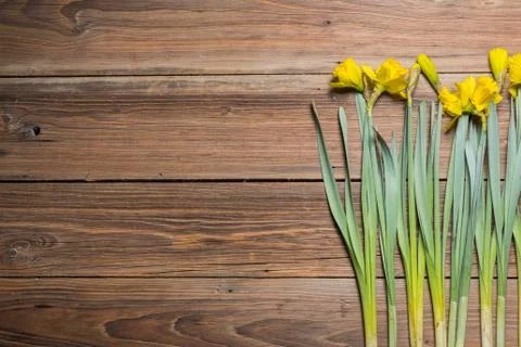 Daffodils on a wooden table Stock Photos