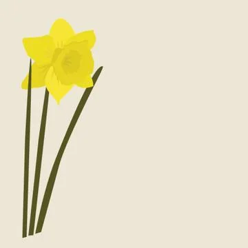 Dafodills on grunge background. Vector illustration 스톡 일러스트