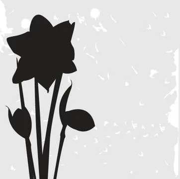 Dafodills on grunge background. Vector illustration Ilustração Stock