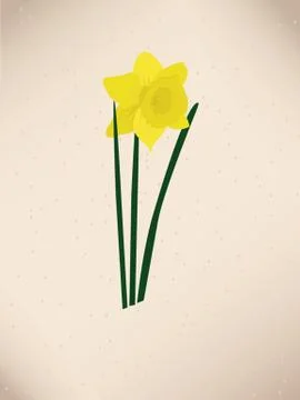 Dafodills on grunge background. Vector illustration 스톡 일러스트