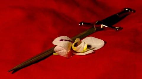 Dagger and orchid Stock Footage 73828734