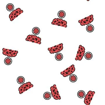 Dagoussa groat vector seamless pattern 库存插图