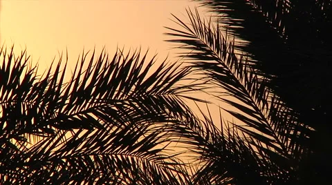 Dahab Egypt Stock Footage 58526100