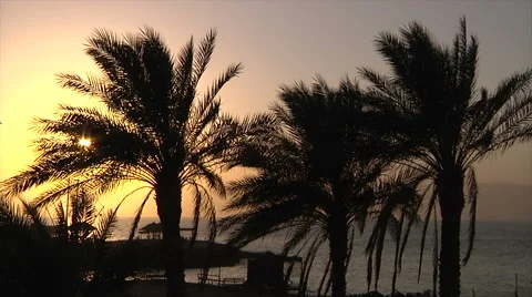 Dahab Egypt 스톡 동영상 58526559