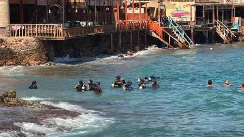 Dahab, Egypt - October 07, 2025 - Group of Divers Preparing for Shore Entry Dive Stock Footage 340942405