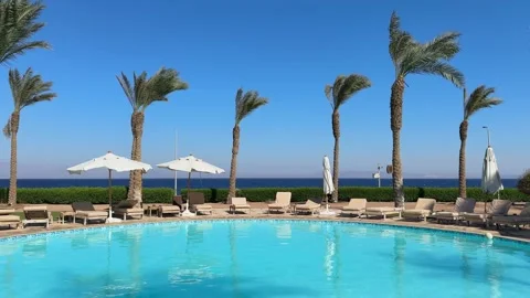 Dahab, Egypt - September 20, 2025: Luxury Hotel Infinity Pool with Palm Trees Stock Footage 341300314