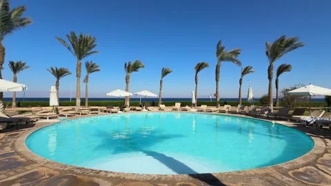 Dahab, Egypt - September 20, 2025: Luxury Resort Round Swimming Pool with Palm 스톡 동영상 341301048