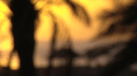 Dahab sunset beach Stock Footage 58526174