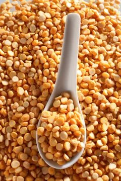 Dahl 스톡 사진