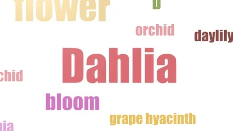 Dahlia Word Cloud Animated Isolated On White Stock Footage 107241268