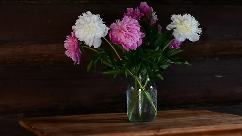Dahlias on the table Video stock 116478289