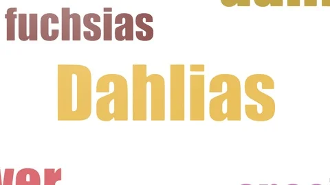 Dahlias Word Cloud Animated Isolated Stock Footage 107225907