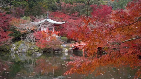 Daigo-ji temple with colorful maple trees in autumn, Kyoto, Japan Stock Footage 123110853