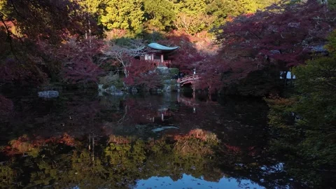 Daigo-ji Temple Surrounded by Vibrant Autumn Maple Trees in Kyoto, Japan Stock Footage 327229857