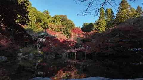 Daigo-ji Temple Surrounded by Vibrant Autumn Maple Trees in Kyoto, Japan Stock Footage 327229875
