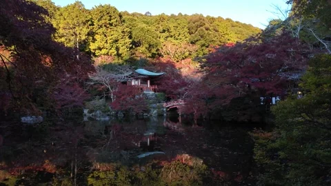 Daigo-ji Temple Surrounded by Vibrant Autumn Maple Trees in Kyoto, Japan Stock Footage 327229958
