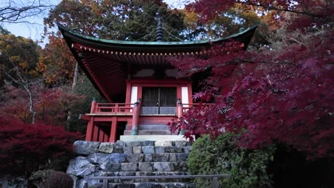 Daigo-ji Temple Surrounded by Vibrant Autumn Maple Trees in Kyoto, Japan Stock Footage 327230005