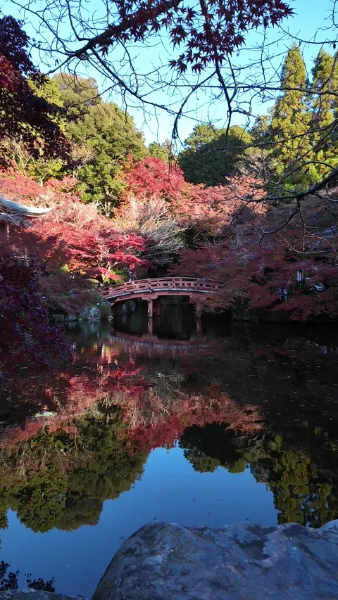 Daigo-ji Temple Surrounded by Vibrant Autumn Maple Trees in Kyoto, Japan Stock Footage 327230073