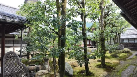 Daigo-ji Temple Surrounded by Vibrant Autumn Maple Trees in Kyoto, Japan Stock Footage 327230201