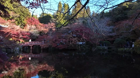 Daigo-ji Temple Surrounded by Vibrant Autumn Maple Trees in Kyoto, Japan Stock Footage 327230238