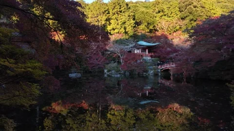 Daigo-ji Temple Surrounded by Vibrant Autumn Maple Trees in Kyoto, Japan Stock Footage 327230317