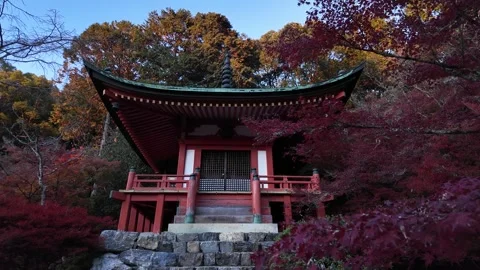 Daigo-ji Temple Surrounded by Vibrant Autumn Maple Trees in Kyoto, Japan Stock Footage 327230323