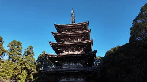 Daigo-ji Temple Surrounded by Vibrant Autumn Maple Trees in Kyoto, Japan Stock Footage 327230412