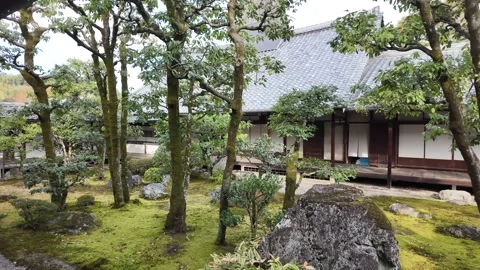 Daigo-ji Temple Surrounded by Vibrant Autumn Maple Trees in Kyoto, Japan Stock Footage 327230507