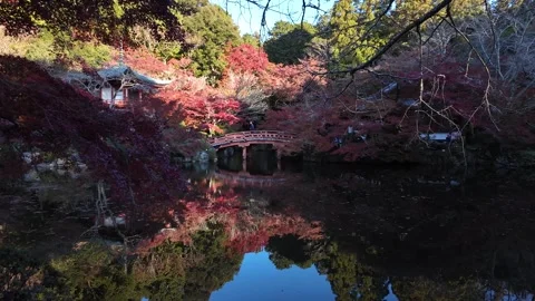 Daigo-ji Temple Surrounded by Vibrant Autumn Maple Trees in Kyoto, Japan Stock Footage 327231026