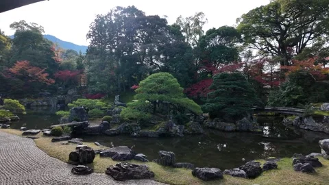 Daigo-ji Temple Surrounded by Vibrant Autumn Maple Trees in Kyoto, Japan Stock Footage 327231075