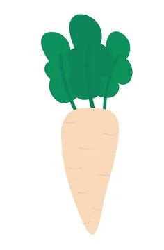 Daikon element. Food vegetable. Vector flat illustration. Stock Illustration