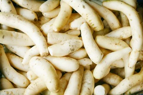 Daikon radish background Stock Photos