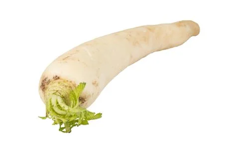 Daikon radish on white background Stock Photos