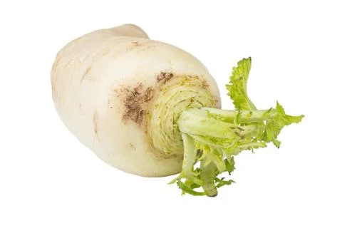 Daikon radish on white background Stock Photos