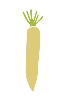 Daikon root vegetable. Vector flat illustration isolated on a white. Stock Illustration