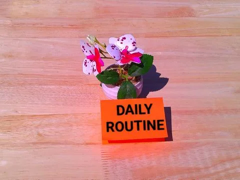 Daily routine concept  Stock-Fotos