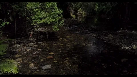DAIN AER 13 Stock Footage 244824558