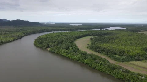Daintree Forest Australia River Drone Footage Stock Footage 261557789
